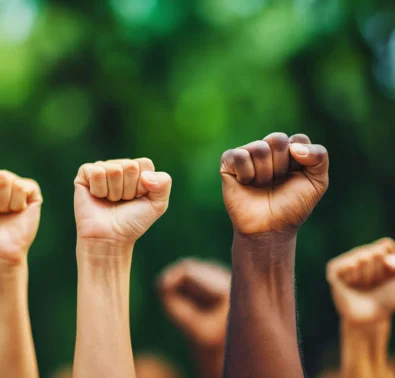 Diverse raised fists against a blurred green background, symbolizing unity and solidarity in activism